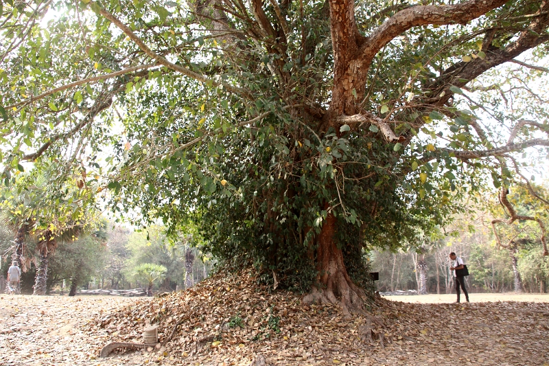 44_ angkor_wat_024.jpg